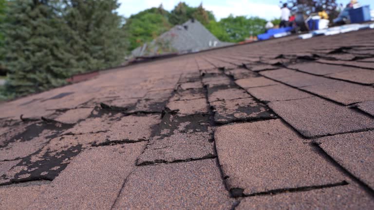 Best Slate Roofing  in Mino Tassajara, CA