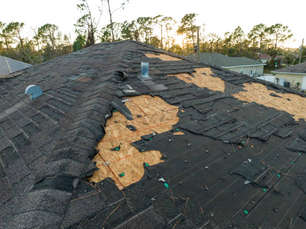 Best Hot Roofs  in Mino Tassajara, CA